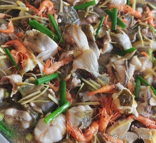 清蒸銀魚有哪些變種做法,清蒸銀魚是一道傳統的中式菜肴 龍魚百科 第13張 清蒸銀魚有哪些變種做法,清蒸銀魚是一道傳統的中式菜肴 清蒸銀魚有哪些變種做法,清蒸銀魚是一道傳統的中式菜肴 龍魚百科 第13張