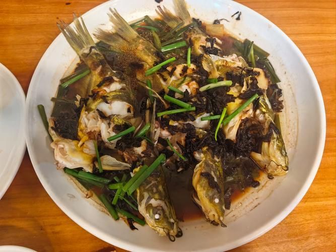 清蒸銀魚有哪些變種做法,清蒸銀魚是一道傳統的中式菜肴 龍魚百科 第7張 清蒸銀魚有哪些變種做法,清蒸銀魚是一道傳統的中式菜肴 清蒸銀魚有哪些變種做法,清蒸銀魚是一道傳統的中式菜肴 龍魚百科 第7張