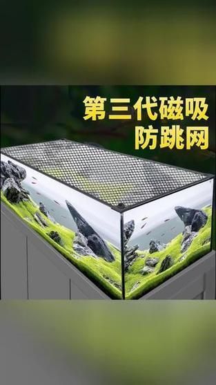 有哪些品牌的龍魚缸蓋推薦?,哪個品牌的龍魚缸蓋性價比最高? 龍魚百科 第14張 有哪些品牌的龍魚缸蓋推薦?,哪個品牌的龍魚缸蓋性價比最高? 有哪些品牌的龍魚缸蓋推薦?,哪個品牌的龍魚缸蓋性價比最高? 龍魚百科 第14張