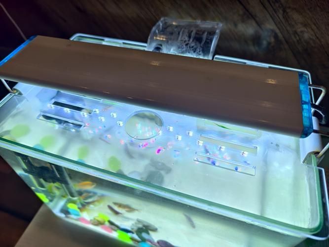有哪些品牌的龍魚缸蓋推薦?,哪個品牌的龍魚缸蓋性價比最高? 龍魚百科 第7張 有哪些品牌的龍魚缸蓋推薦?,哪個品牌的龍魚缸蓋性價比最高? 有哪些品牌的龍魚缸蓋推薦?,哪個品牌的龍魚缸蓋性價比最高? 龍魚百科 第7張