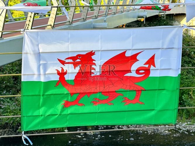 紅龍旗在體育賽事中有何用途,紅龍旗在體育賽事中有何用途, 龍魚百科 第7張 紅龍旗在體育賽事中有何用途,紅龍旗在體育賽事中有何用途, 紅龍旗在體育賽事中有何用途,紅龍旗在體育賽事中有何用途, 龍魚百科 第7張