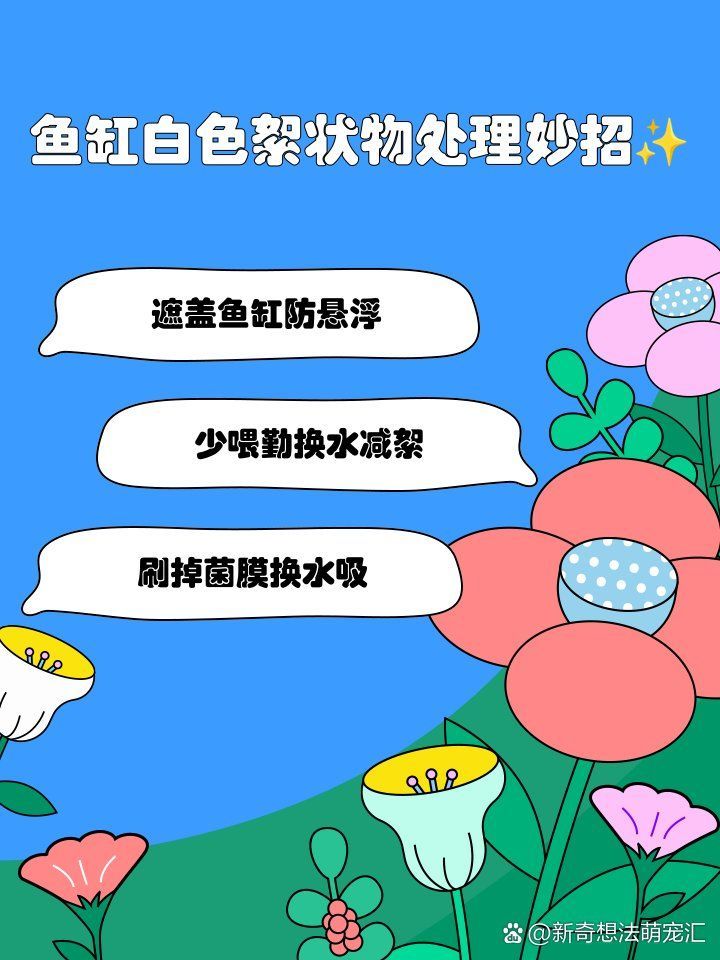 龍魚(yú)吐白色絮狀物需要立即換水嗎？，龍魚(yú)吐白色絮狀物需要立即換水嗎龍魚(yú)吐白色絮狀物處理妙招