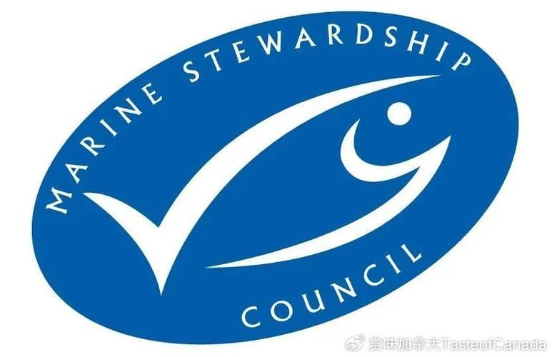 如何判斷一個魚品牌是否可靠，如何判斷一個魚品牌可靠性判斷一個魚品牌是否可靠 如何判斷一個魚品牌是否可靠，如何判斷一個魚品牌可靠性判斷一個魚品牌是否可靠 龍魚百科 第4張