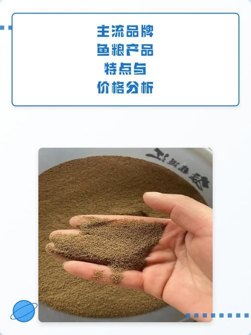 有哪些食物對魚鰭充血有害