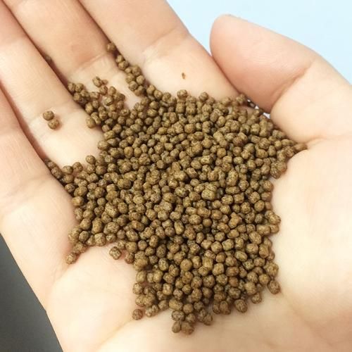 有哪些食物有助于魚爛尾恢復(fù),arxiv論文助于魚爛尾恢復(fù)的關(guān)鍵輔助手段 龍魚百科 第4張 有哪些食物有助于魚爛尾恢復(fù),arxiv論文助于魚爛尾恢復(fù)的關(guān)鍵輔助手段 有哪些食物有助于魚爛尾恢復(fù),arxiv論文助于魚爛尾恢復(fù)的關(guān)鍵輔助手段 龍魚百科 第4張