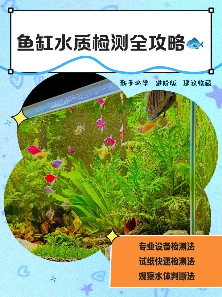 如何判斷龍魚是否因水質問題側游？，如何判斷龍魚是否因水質問題導致側游 如何判斷龍魚是否因水質問題側游？，如何判斷龍魚是否因水質問題導致側游 龍魚百科 第9張