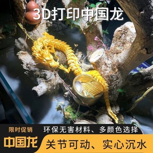 過背金龍魚缸裝飾品推薦，過背金龍魚缸裝飾 過背金龍魚缸裝飾品推薦，過背金龍魚缸裝飾 龍魚百科 第10張