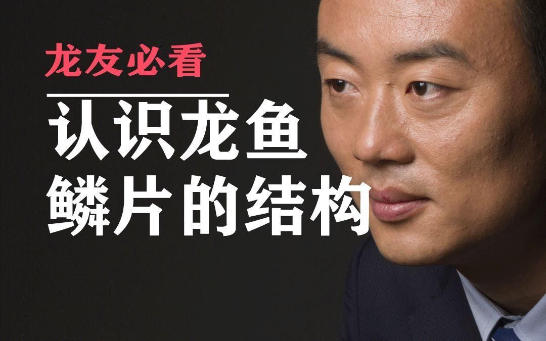 如何辨別真假泉州龍魚？，如何辨別泉州龍魚 如何辨別真假泉州龍魚？，如何辨別泉州龍魚 龍魚百科 第7張