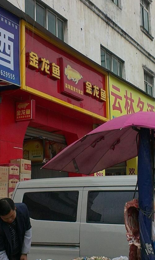 如何查詢其他地區(qū)的金龍魚專賣店？，如何查詢金龍魚專賣店