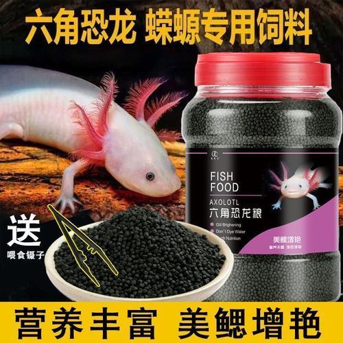 六角龍魚(yú)成魚(yú)專(zhuān)用飼料價(jià)格范圍是多少，六角龍魚(yú)成魚(yú)專(zhuān)用飼料有哪些品牌推薦