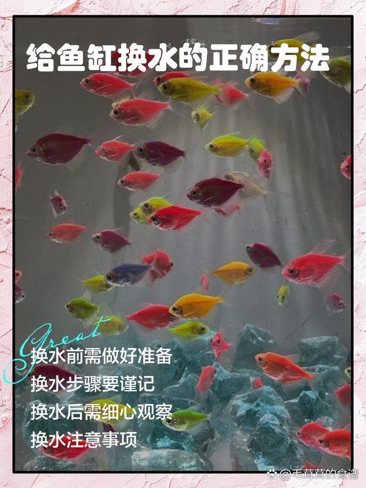 龍魚趴缸時可以換水嗎
