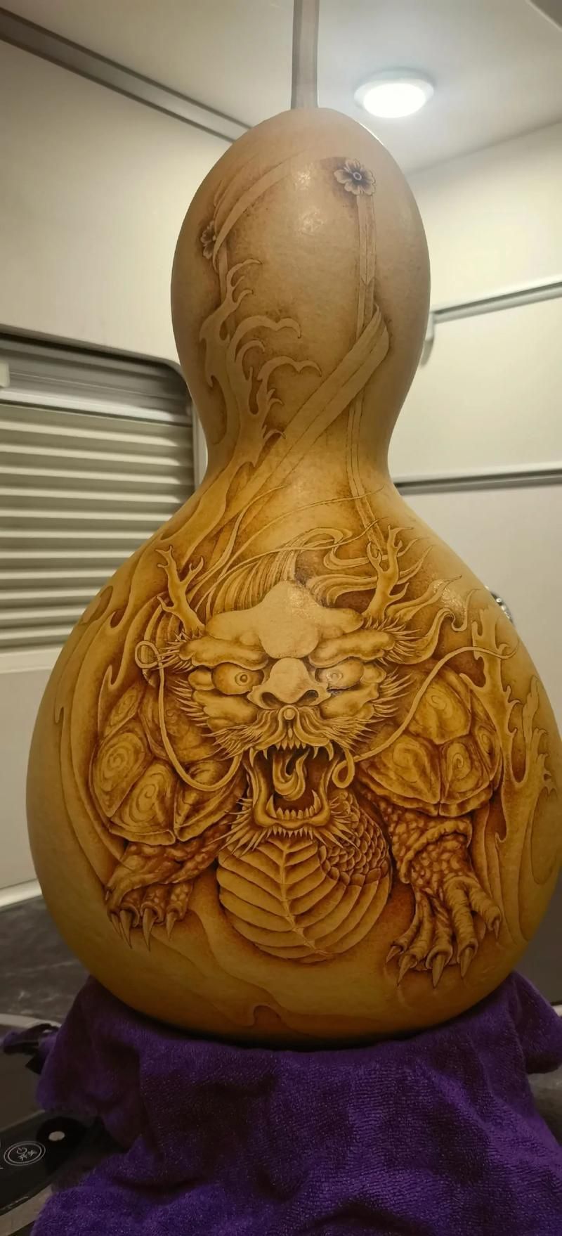 邢臺龍魚的價格是多少？，邢臺地區常見龍魚品種與價格對照表 邢臺龍魚的價格是多少？，邢臺地區常見龍魚品種與價格對照表 龍魚百科 第2張