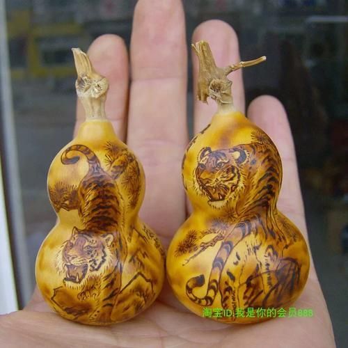 邢臺龍魚的價格是多少？，邢臺地區常見龍魚品種與價格對照表 邢臺龍魚的價格是多少？，邢臺地區常見龍魚品種與價格對照表 龍魚百科 第1張