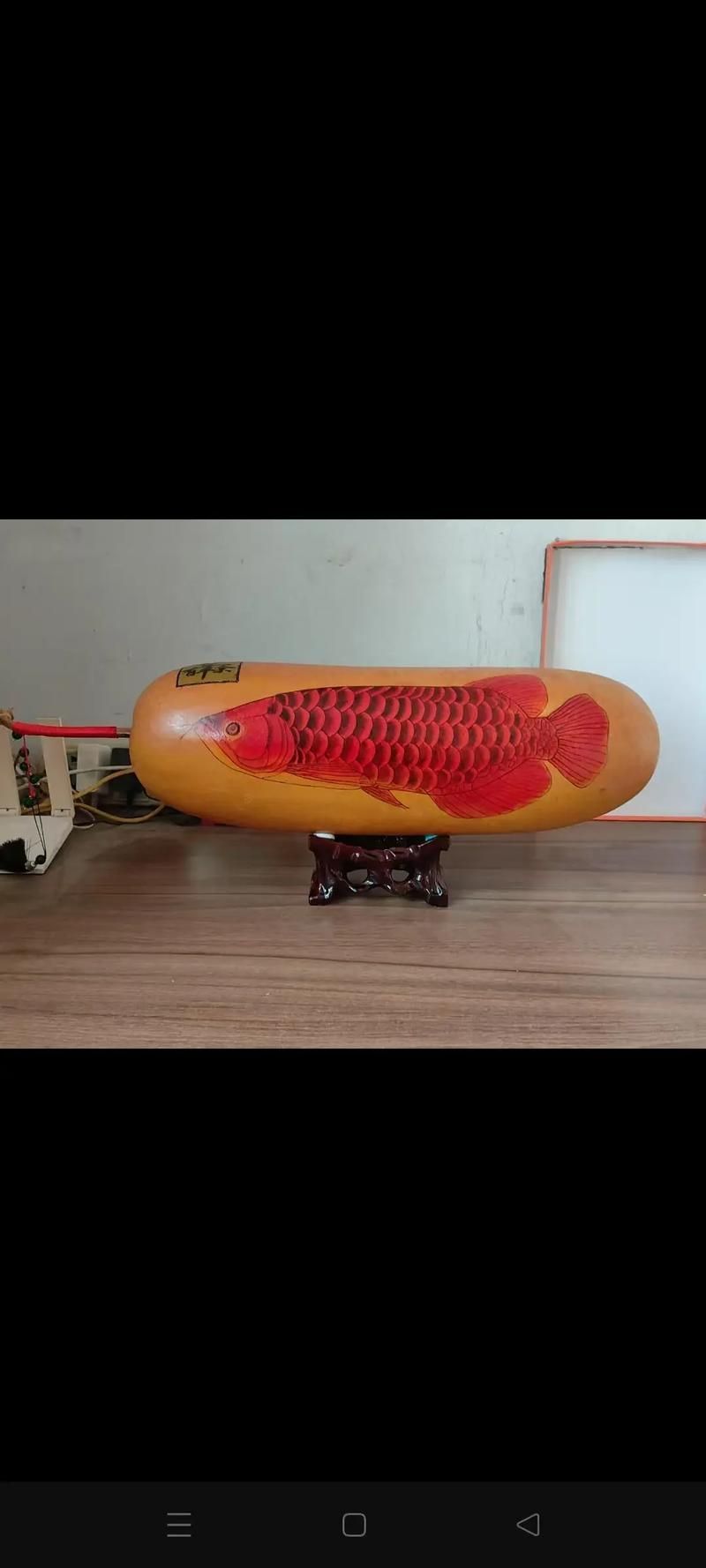 邢臺龍魚的價格是多少？，邢臺地區常見龍魚品種與價格對照表 邢臺龍魚的價格是多少？，邢臺地區常見龍魚品種與價格對照表 龍魚百科 第4張