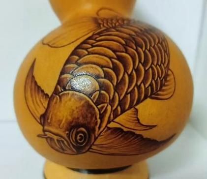 邢臺龍魚的價格是多少？，邢臺地區常見龍魚品種與價格對照表 邢臺龍魚的價格是多少？，邢臺地區常見龍魚品種與價格對照表 龍魚百科 第5張