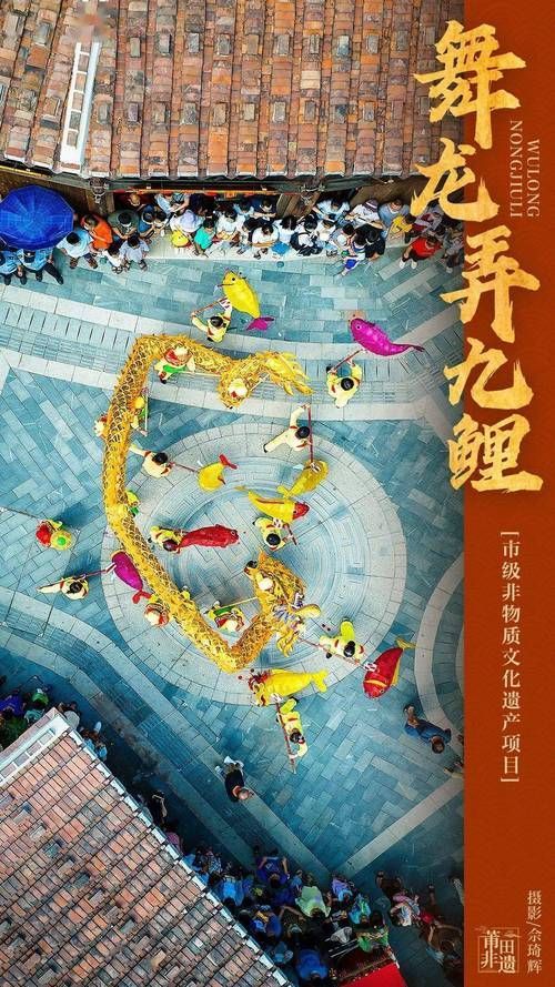 能否提供“舞龍弄九鯉”的詳細表演流程 能否提供“舞龍弄九鯉”的詳細表演流程 龍魚百科 第4張