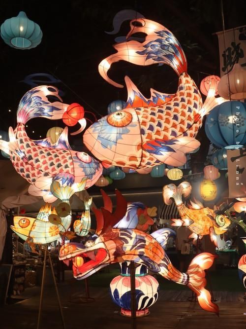 龍魚CCTV11節目有哪些類型？，cctv11節目有哪些類型？ 龍魚CCTV11節目有哪些類型？，cctv11節目有哪些類型？ 龍魚百科 第4張