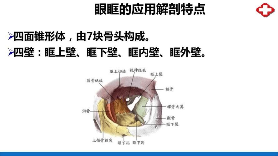 有哪些藥物可以幫助治療魚突眼,“魚突眼”并非醫學標準術語可以幫助治療魚突眼ted 龍魚百科 第6張 有哪些藥物可以幫助治療魚突眼,“魚突眼”并非醫學標準術語可以幫助治療魚突眼ted 有哪些藥物可以幫助治療魚突眼,“魚突眼”并非醫學標準術語可以幫助治療魚突眼ted 龍魚百科 第6張