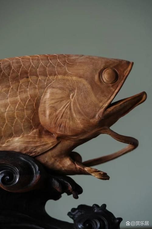 能提供幾張獨山龍魚雕刻的圖片嗎，可以提供幾張獨山龍魚雕刻的圖片嗎？ 能提供幾張獨山龍魚雕刻的圖片嗎，可以提供幾張獨山龍魚雕刻的圖片嗎？ 龍魚百科 第10張