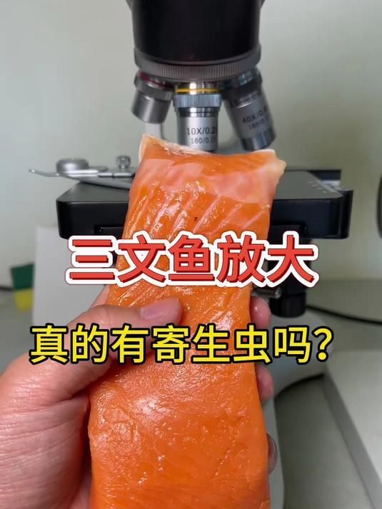 如何用顯微鏡檢測魚寄生蟲 如何用顯微鏡檢測魚寄生蟲 龍魚百科