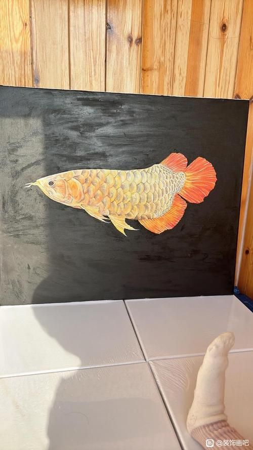 有沒有更多風格的金龍魚手繪作品?,探索金龍魚的多樣性 龍魚百科 第23張 有沒有更多風格的金龍魚手繪作品?,探索金龍魚的多樣性 有沒有更多風格的金龍魚手繪作品?,探索金龍魚的多樣性 龍魚百科 第23張