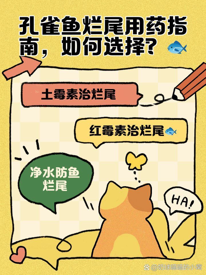 土霉素對魚爛尾的治療效果如何，土霉素對魚爛尾的治療效果如何選擇土霉素治療效果 土霉素對魚爛尾的治療效果如何，土霉素對魚爛尾的治療效果如何選擇土霉素治療效果 龍魚百科 第2張