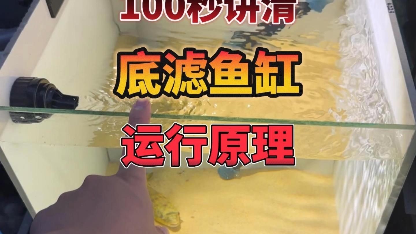 底濾系統(tǒng)有哪些優(yōu)勢(shì)，底濾系統(tǒng)有哪些優(yōu)勢(shì)金龍魚2025年新品價(jià)格