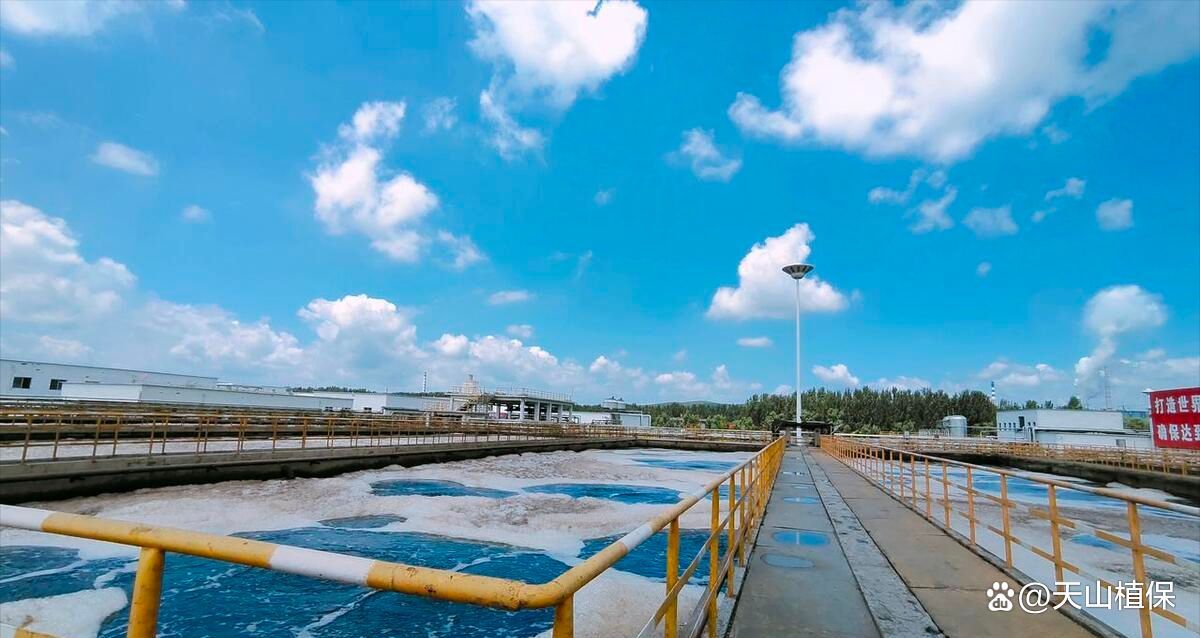 如何測量和維持魚缸中的鹽度，如何測量和維持魚缸中的鹽度思考完成鹽度思考完成 如何測量和維持魚缸中的鹽度，如何測量和維持魚缸中的鹽度思考完成鹽度思考完成 龍魚百科 第8張