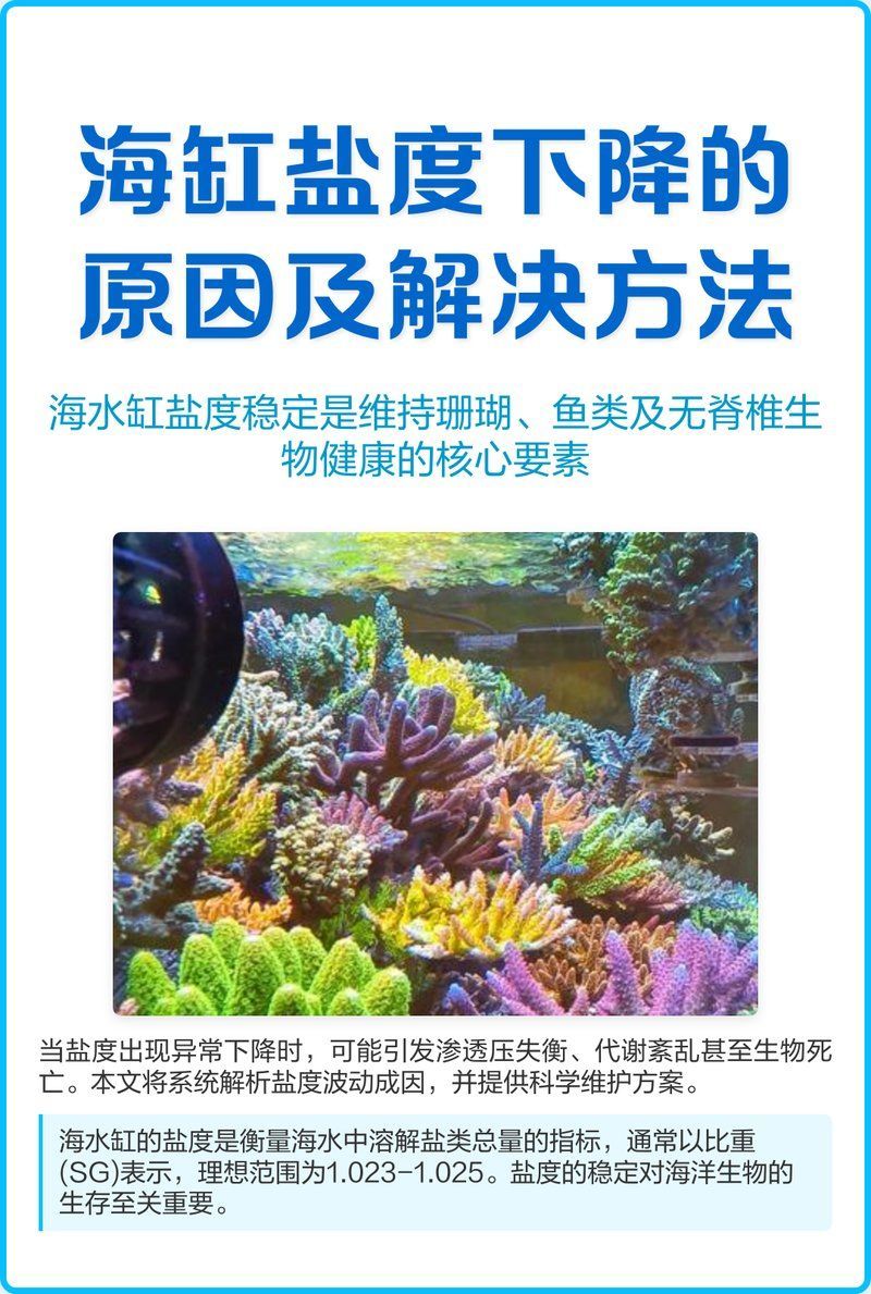 如何測量和維持魚缸中的鹽度，如何測量和維持魚缸中的鹽度思考完成鹽度思考完成 如何測量和維持魚缸中的鹽度，如何測量和維持魚缸中的鹽度思考完成鹽度思考完成 龍魚百科 第9張