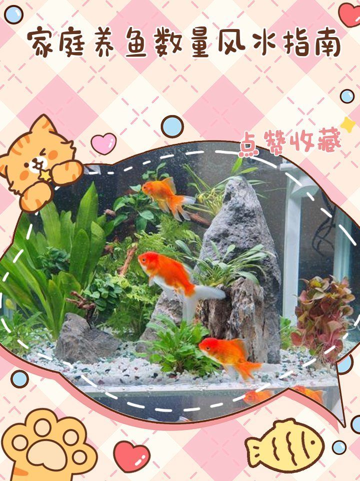 魚(yú)擺件數(shù)量有何講究，魚(yú)擺件數(shù)量與五行屬性有何關(guān)系魚(yú)擺件數(shù)量與五行屬性有何關(guān)系 魚(yú)擺件數(shù)量有何講究，魚(yú)擺件數(shù)量與五行屬性有何關(guān)系魚(yú)擺件數(shù)量與五行屬性有何關(guān)系 龍魚(yú)百科 第2張