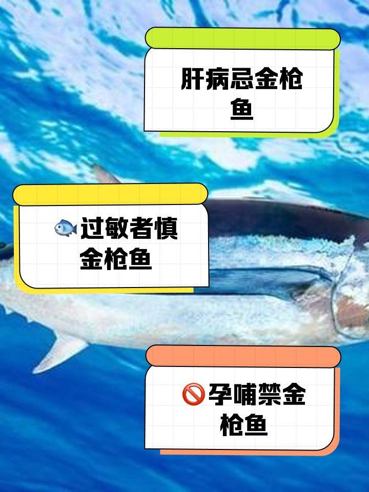 金槍魚有哪些常見的健康風險，金槍魚常見的幾類健康隱患，值得每個人關注， 金槍魚有哪些常見的健康風險，金槍魚常見的幾類健康隱患，值得每個人關注， 龍魚百科 第4張