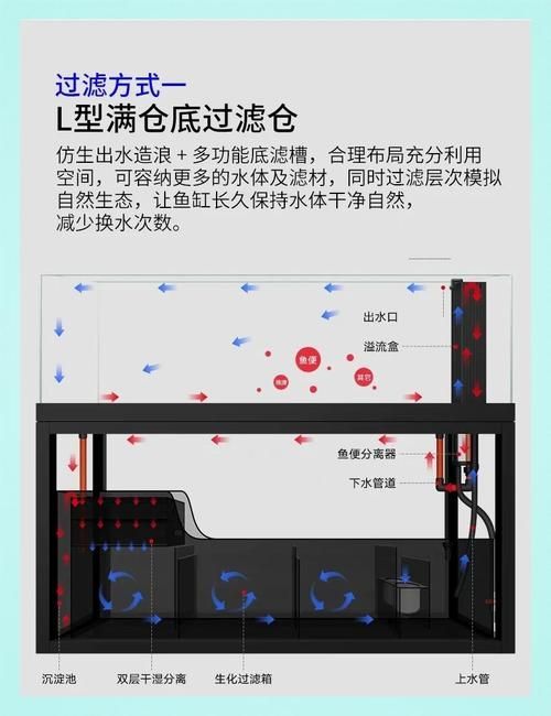 如何判斷一個魚缸是否優質？ 如何判斷一個魚缸是否優質？ 龍魚百科 第6張
