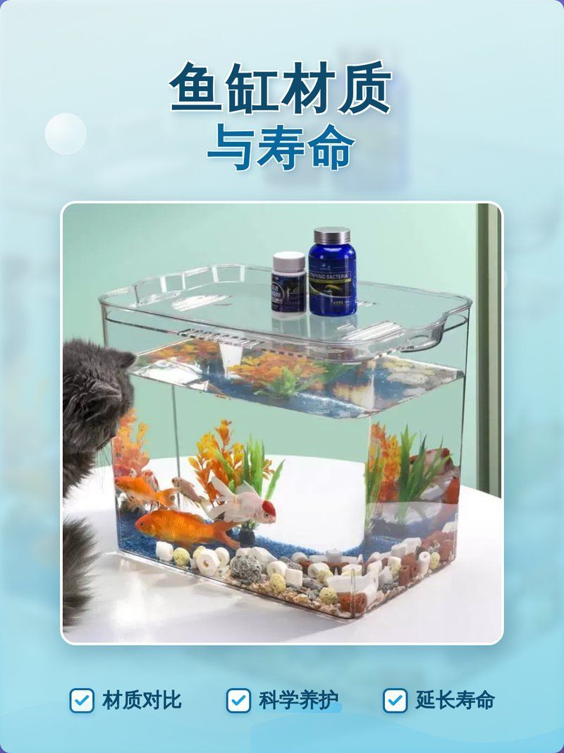 如何判斷一個魚缸是否優質？ 如何判斷一個魚缸是否優質？ 龍魚百科 第12張