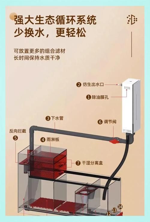 如何判斷一個魚缸是否優質？ 如何判斷一個魚缸是否優質？ 龍魚百科 第10張