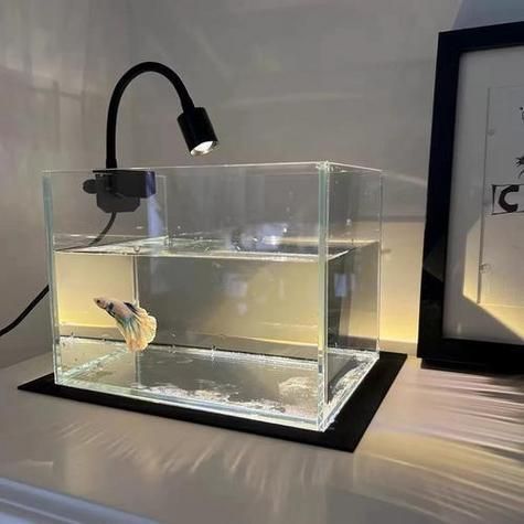 如何判斷一個魚缸是否優質？ 如何判斷一個魚缸是否優質？ 龍魚百科 第5張