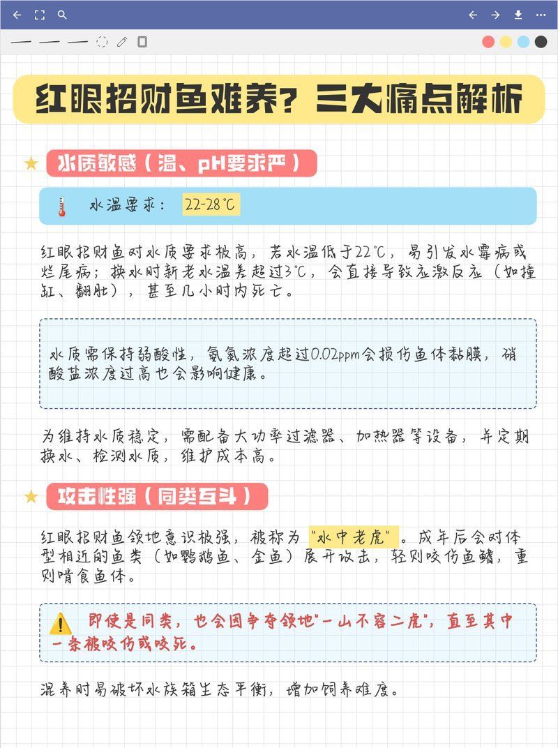 哪些魚類不適合與紅眼招財魚混養(yǎng)，不適合與紅眼招財魚混養(yǎng)的魚類 哪些魚類不適合與紅眼招財魚混養(yǎng)，不適合與紅眼招財魚混養(yǎng)的魚類 龍魚百科 第2張