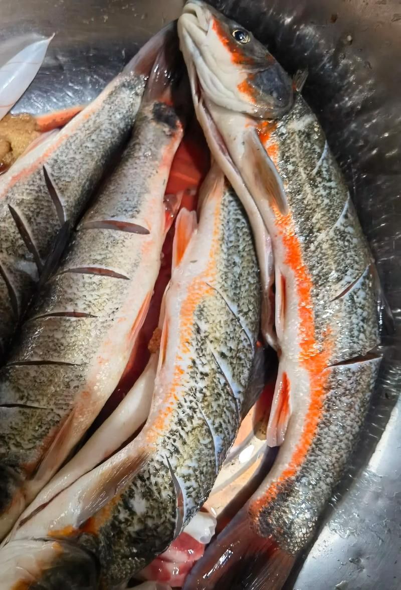 東寧龍魚的特點是什么？，黑龍江東寧灘頭魚