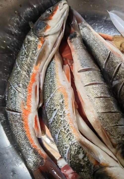 東寧龍魚的特點是什么？，黑龍江東寧灘頭魚