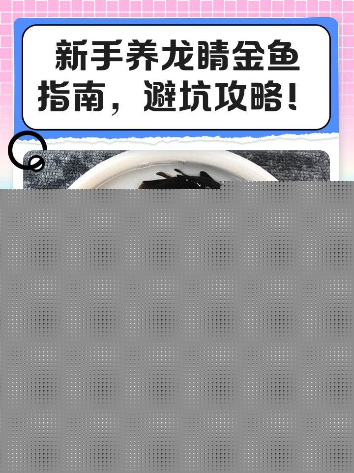推薦幾款適合龍睛金魚的魚缸，新手養龍睛金魚指南 推薦幾款適合龍睛金魚的魚缸，新手養龍睛金魚指南 龍魚百科 第3張