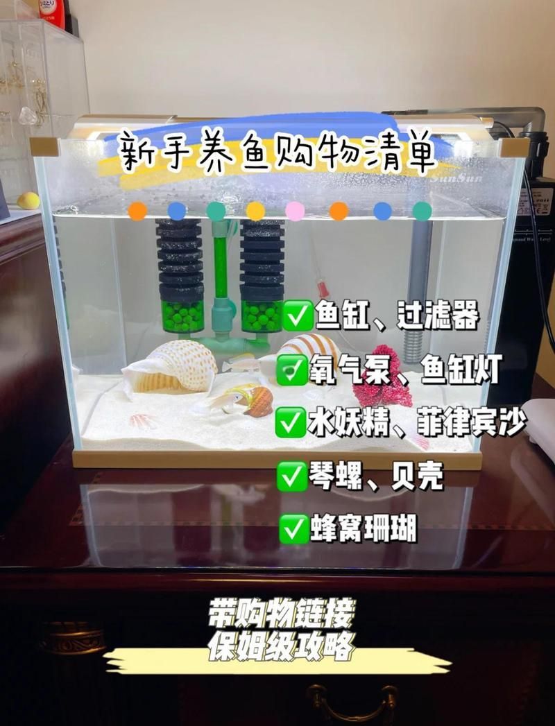 如何設置龍魚魚缸？ 如何設置龍魚魚缸？ 龍魚百科 第2張