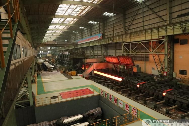 防城港工廠的生產能力如何，防城港工廠生產能力 防城港工廠的生產能力如何，防城港工廠生產能力 龍魚百科 第6張