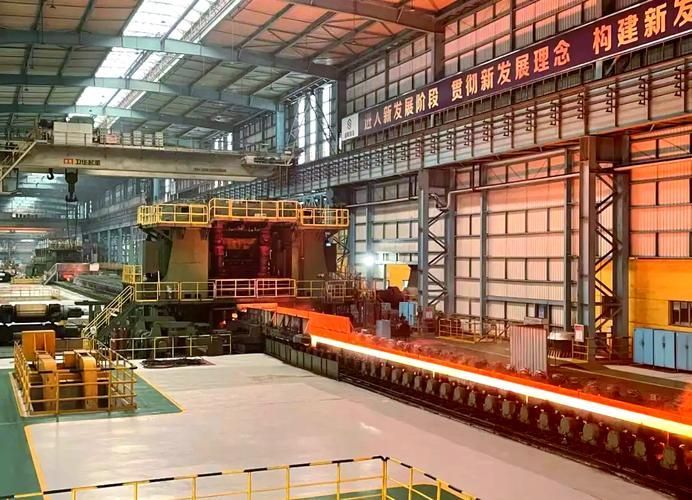 防城港工廠的生產能力如何，防城港工廠生產能力 防城港工廠的生產能力如何，防城港工廠生產能力 龍魚百科 第2張