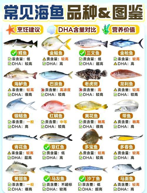 有哪些食物適合不同種類的魚,富媒體組件庫中已召回多個高質量note魚、金魚、金魚、金魚 龍魚百科 第5張 有哪些食物適合不同種類的魚,富媒體組件庫中已召回多個高質量note魚、金魚、金魚、金魚 有哪些食物適合不同種類的魚,富媒體組件庫中已召回多個高質量note魚、金魚、金魚、金魚 龍魚百科 第5張