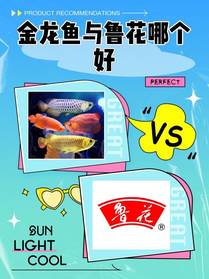 金龍魚如何應對中糧和魯花的競爭 金龍魚如何應對中糧和魯花的競爭 龍魚百科 第1張