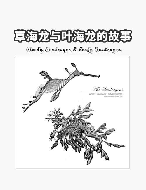 如何區分不同種類的海龍魚?,如何區分不同種類海龍魚 龍魚百科 第8張 如何區分不同種類的海龍魚?,如何區分不同種類海龍魚 如何區分不同種類的海龍魚?,如何區分不同種類海龍魚 龍魚百科 第8張