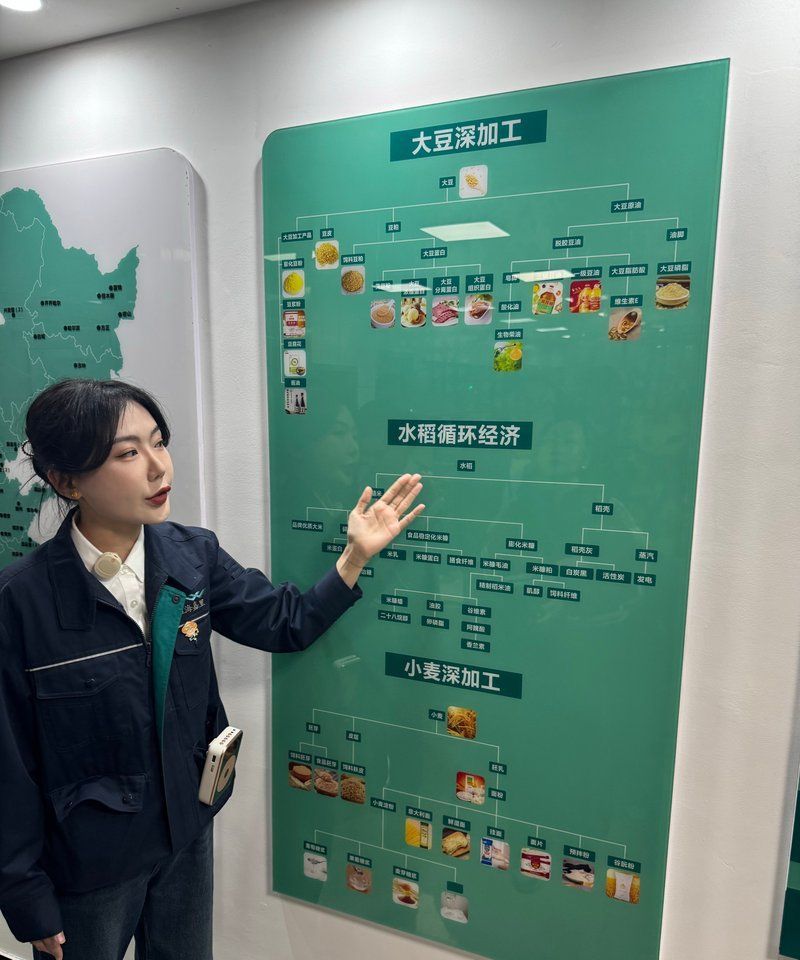 金龍魚這些基地的生產能力如何，金龍魚生產基地的智能化水平居于國內前列 金龍魚這些基地的生產能力如何，金龍魚生產基地的智能化水平居于國內前列 龍魚百科 第1張