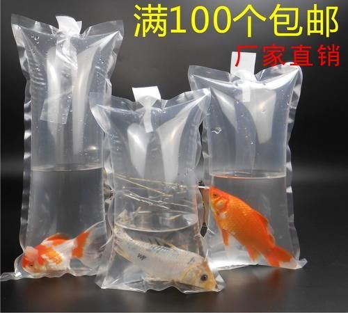 觀賞魚批發，西安觀賞魚批發 觀賞魚批發，西安觀賞魚批發 龍魚百科 第9張