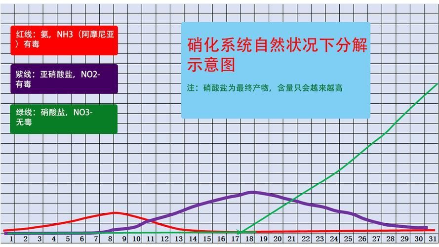 魚缸擺放多久見效？，魚缸“見效”的核心機制