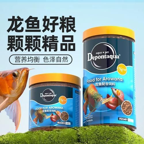大禹德邦龍魚飼料的價格范圍是多少，大禹德邦龍魚飼料價格范圍在10元至50元人民幣之間 大禹德邦龍魚飼料的價格范圍是多少，大禹德邦龍魚飼料價格范圍在10元至50元人民幣之間 龍魚百科 第3張