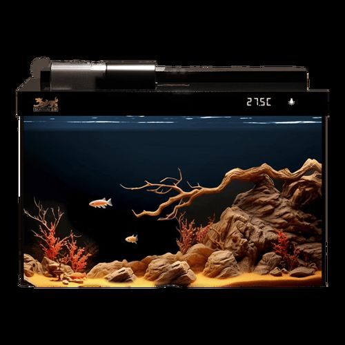 森森有哪些型號推薦？，森森森金麟魚缸型號推薦，適合養魚新手養魚新手養魚 森森有哪些型號推薦？，森森森金麟魚缸型號推薦，適合養魚新手養魚新手養魚 龍魚百科 第1張